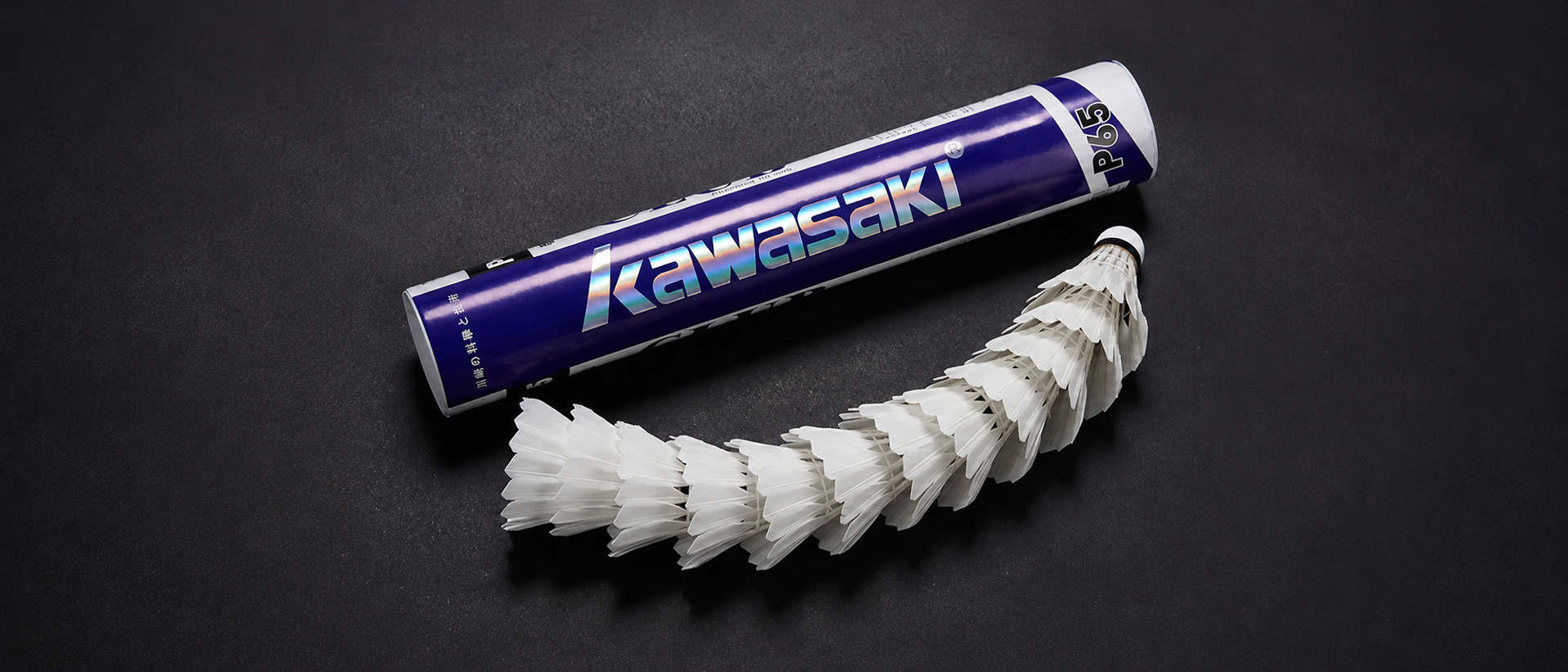 Kawasaki TEAM 2