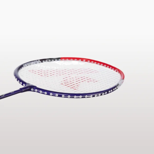 Kawasaki UP - 98 red / blue